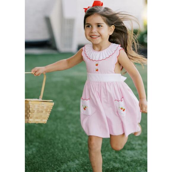 The Proper Peony Savannah Strawberry Dress NWT size 4 - Picture 1 of 6